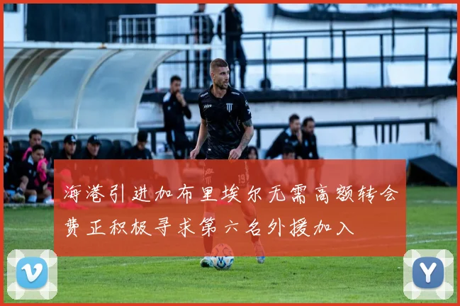 海港引进加布里埃尔无需高额转会费正积极寻求第六名外援加入